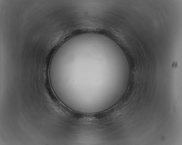 X0000091010642200708021407
