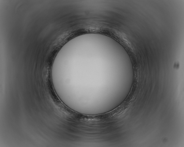 X0000091010645200708021407