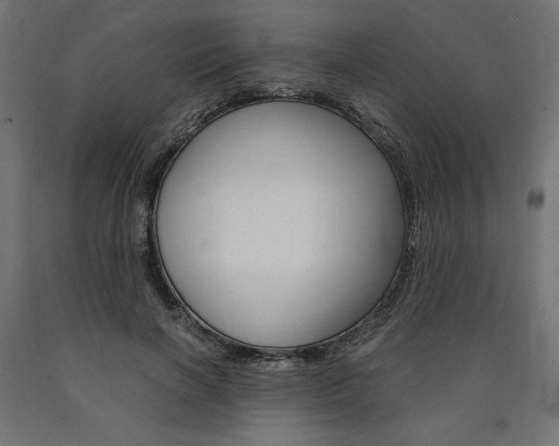 X0000091010646200708021407