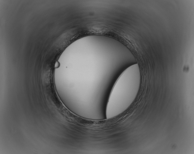 X0000091010647200708021407