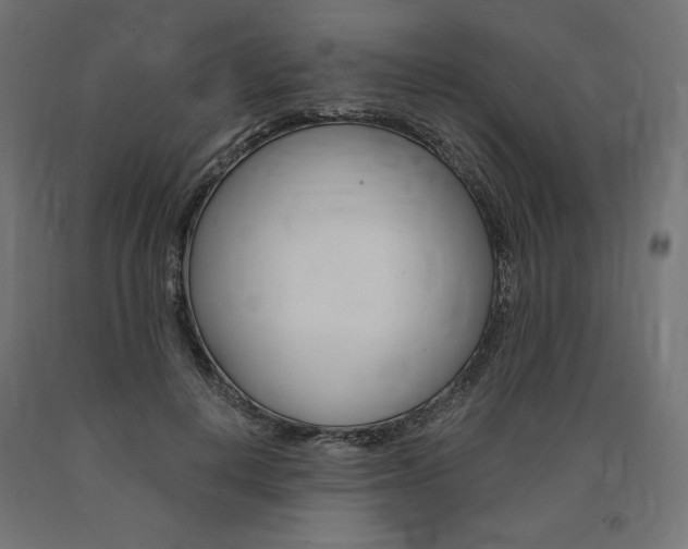 X0000091010648200708021407