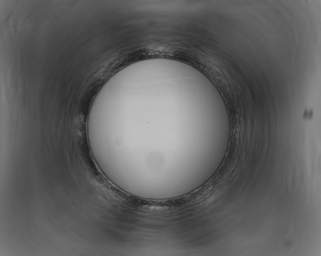 X0000091010649200708021407