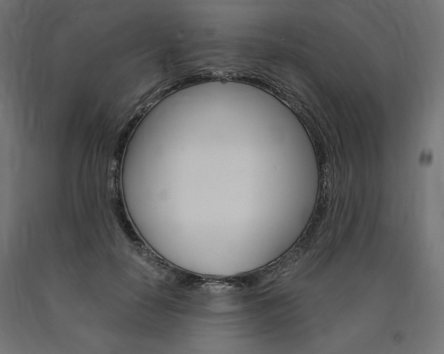 X0000091010650200708021407