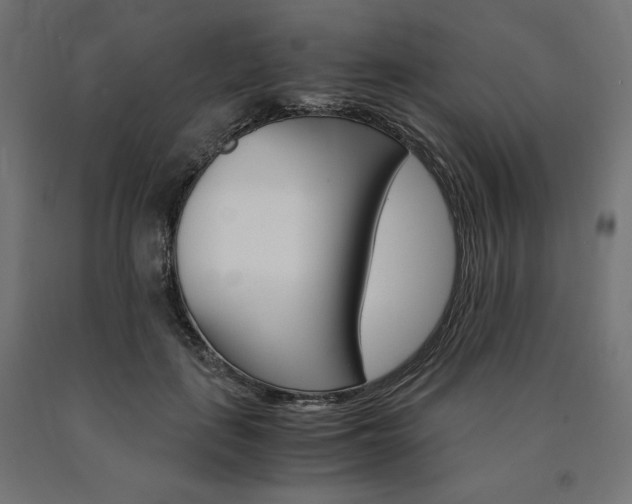 X0000091010651200708021407
