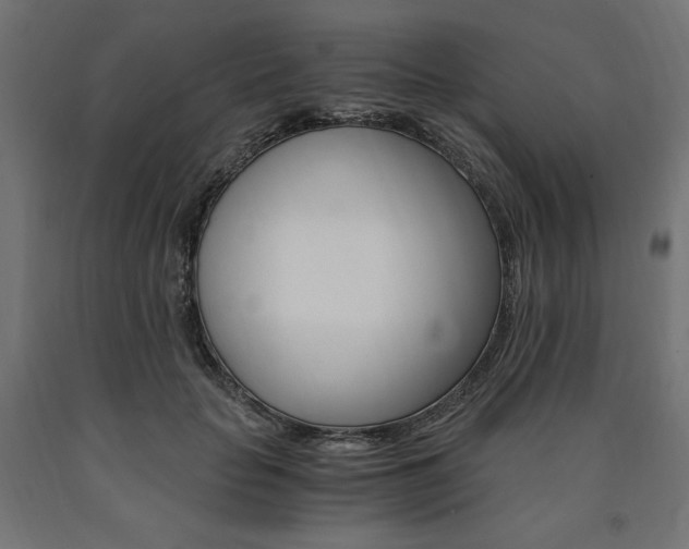 X0000091010653200708021407