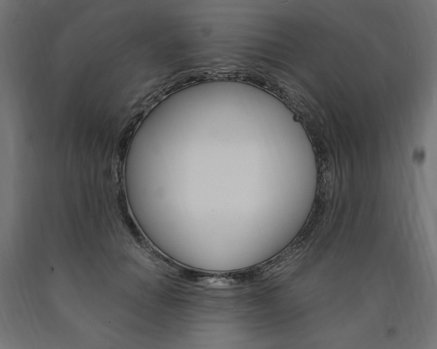 X0000091010654200708021407