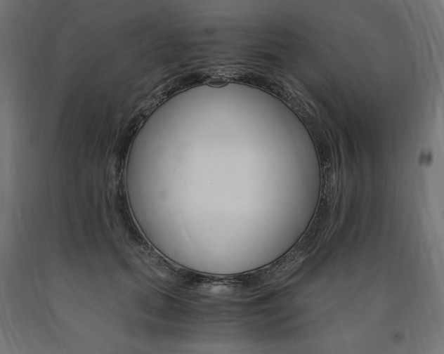 X0000091010655200708021407