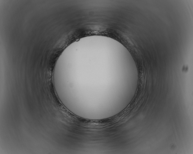 X0000091010657200708021407