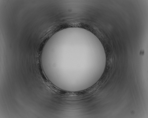 X0000091010658200708021407
