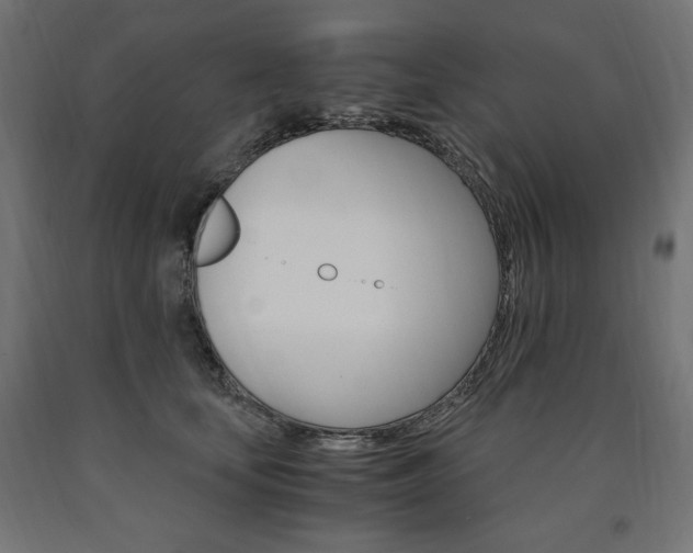 X0000091010659200708021407