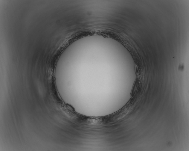 X0000091010660200708021407
