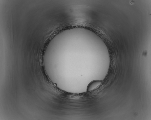 X0000091010661200708021407