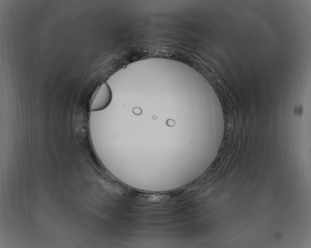 X0000091010663200708021407