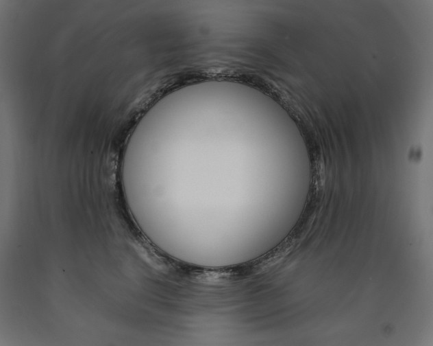 X0000091010664200708021407