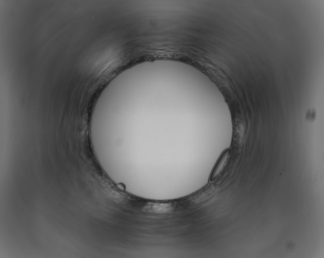 X0000091010665200708021407