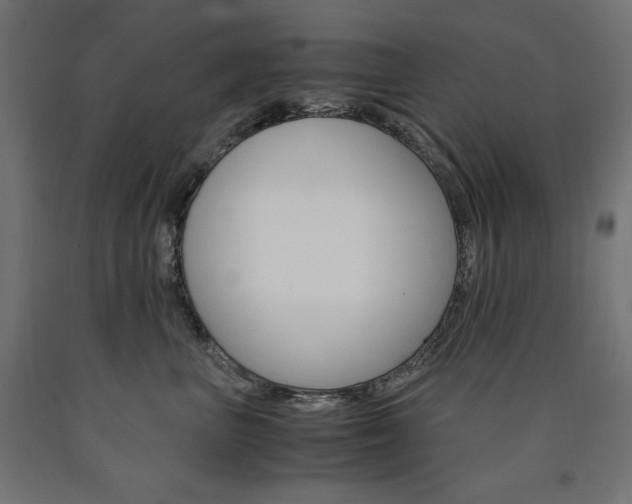 X0000091010667200708021407