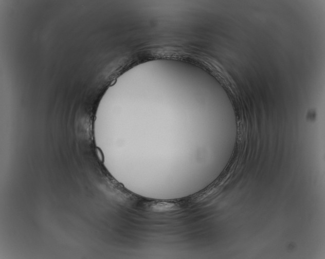 X0000091010669200708021407