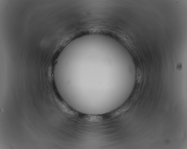 X0000091010670200708021407