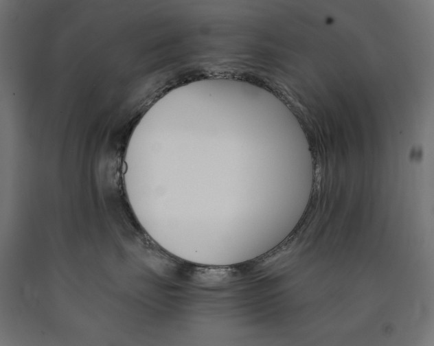 X0000091010671200708021407