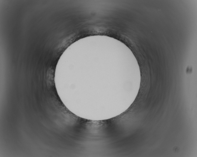 X0000091010672200708021407