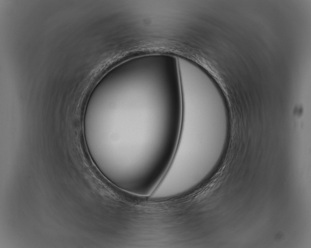 X0000091010673200708021407