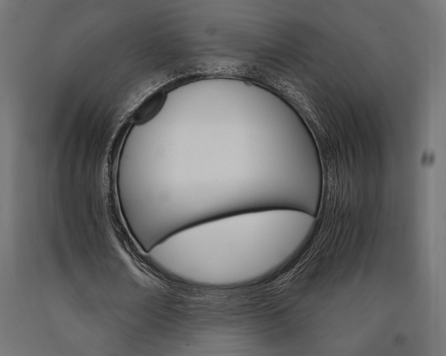 X0000091010674200708021407