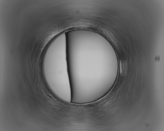 X0000091010675200708021407