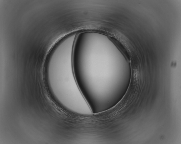 X0000091010676200708021407