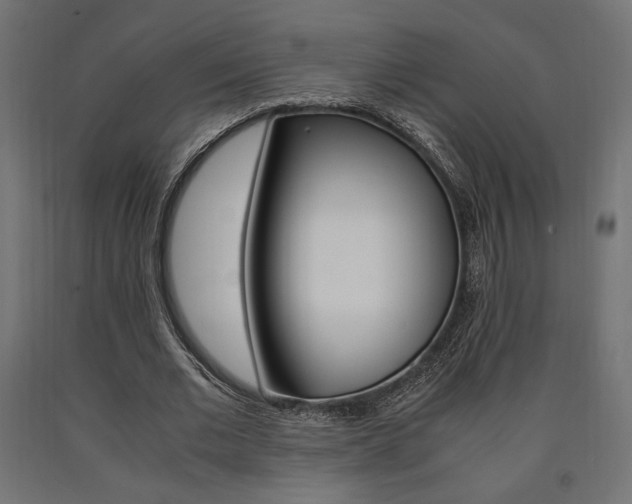 X0000091010677200708021407