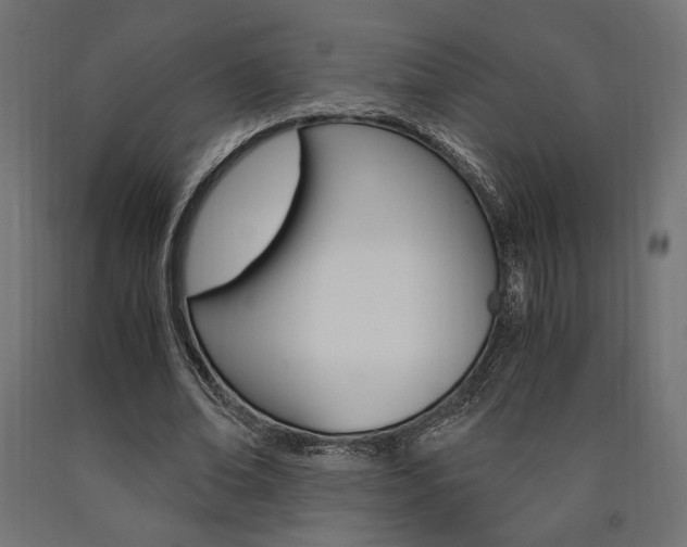 X0000091010678200708021406