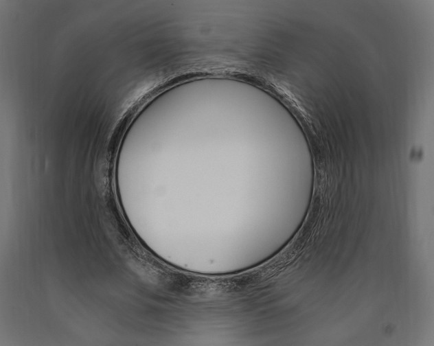 X0000091010679200708021406