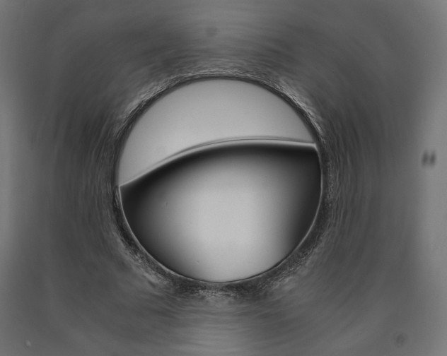 X0000091010681200708021406
