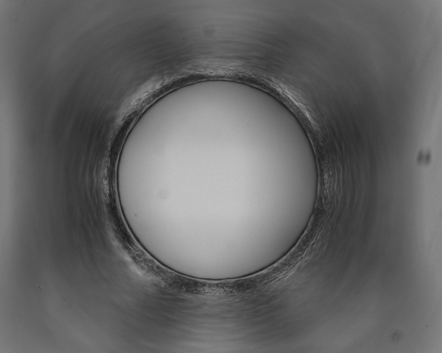X0000091010682200708021406