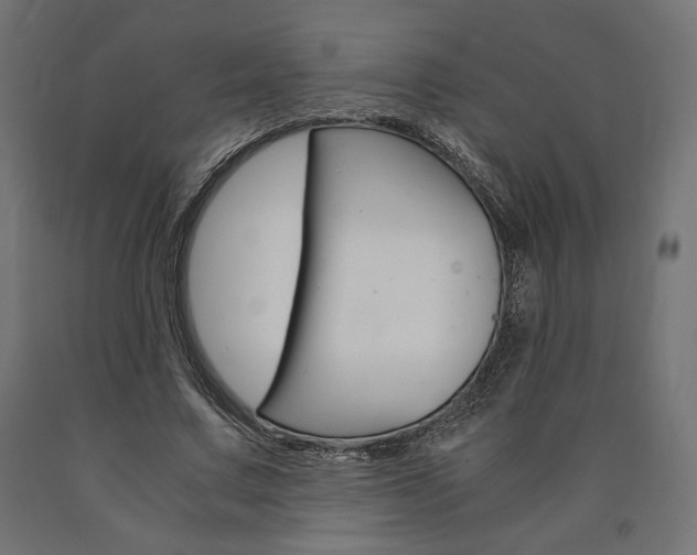 X0000091010683200708021406