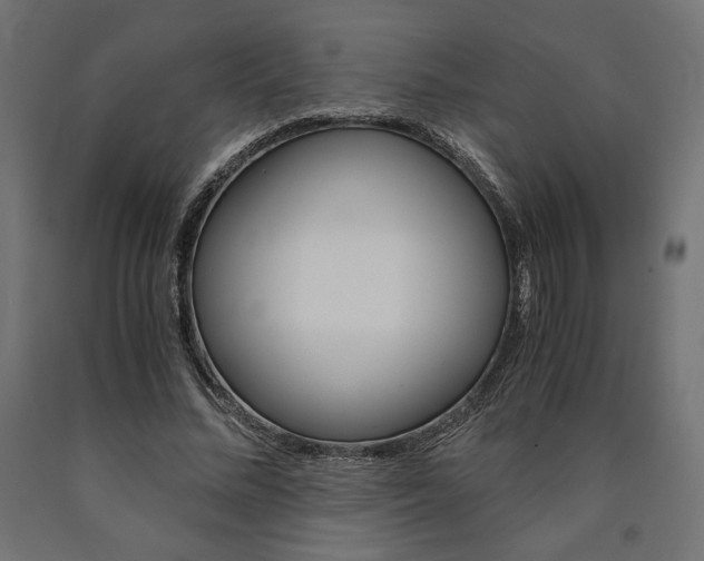 X0000091010684200708021406