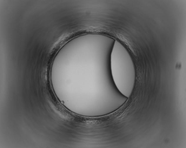 X0000091010686200708021406