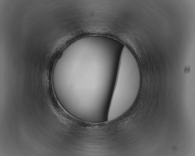 X0000091010688200708021406