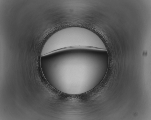 X0000091010689200708021406