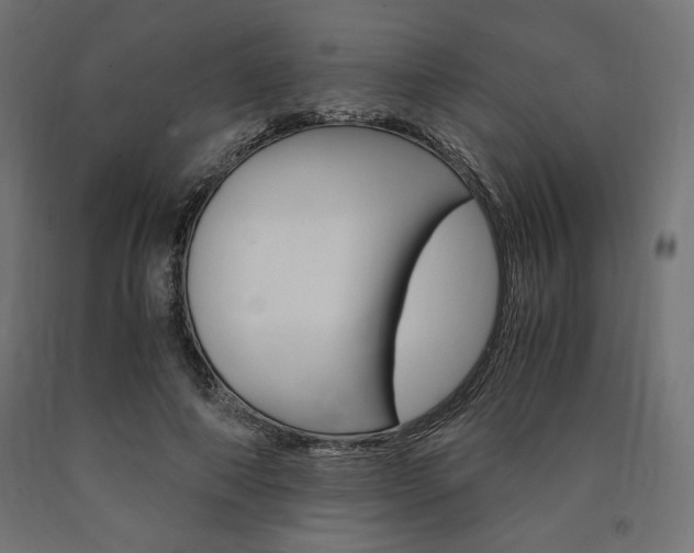 X0000091010690200708021406