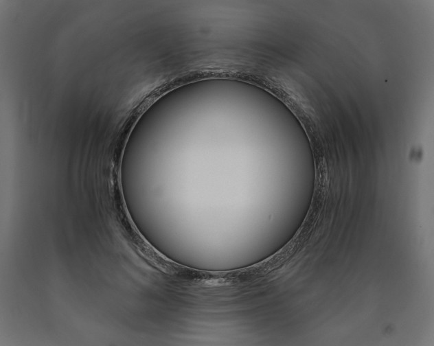 X0000091010692200708021406