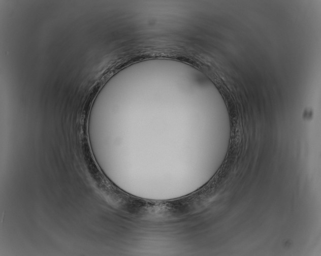 X0000091010695200708021406