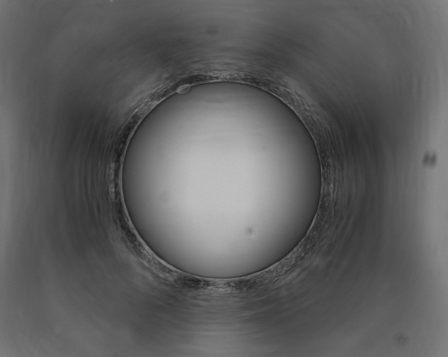 X0000091010696200708021406
