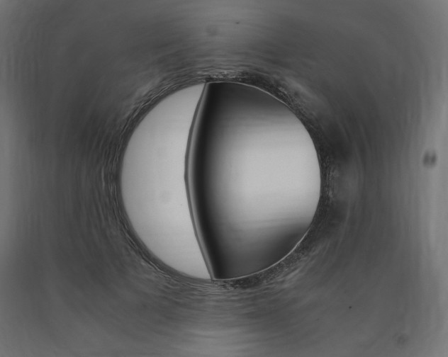 X0000091010697200708021406
