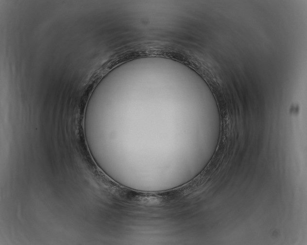 X0000091010698200708021406