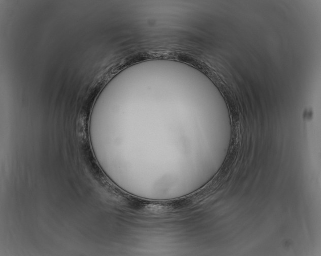 X0000091010699200708021406