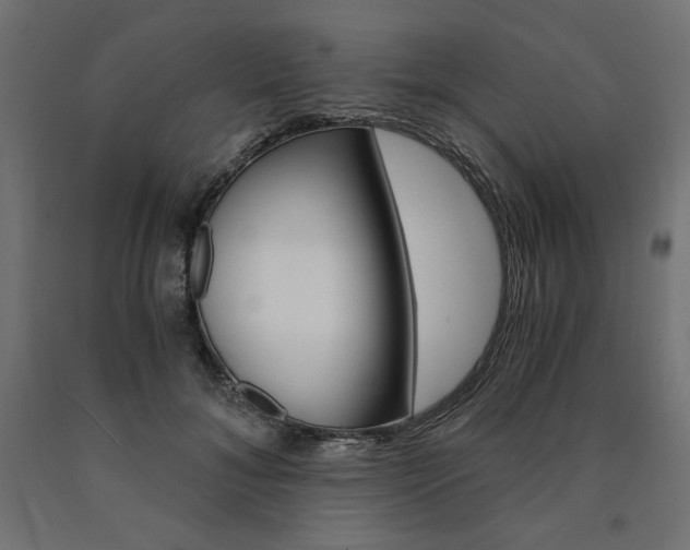 X0000091010700200708021406