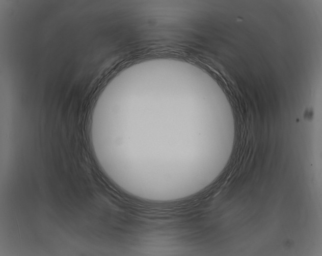 X0000091010701200708021406