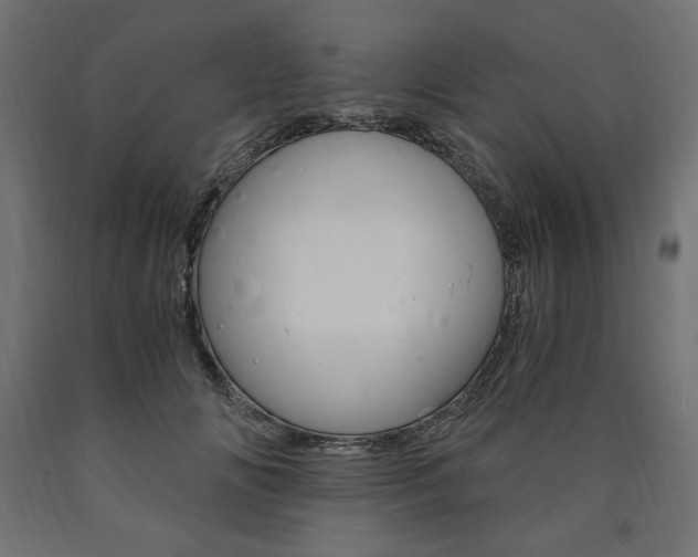 X0000091010702200708021406
