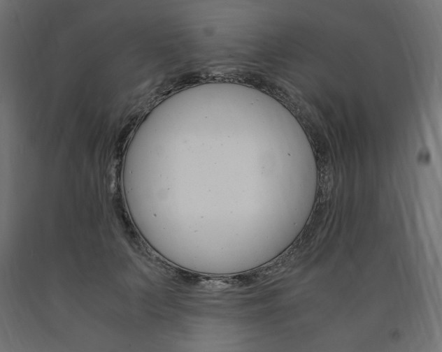 X0000091010703200708021406