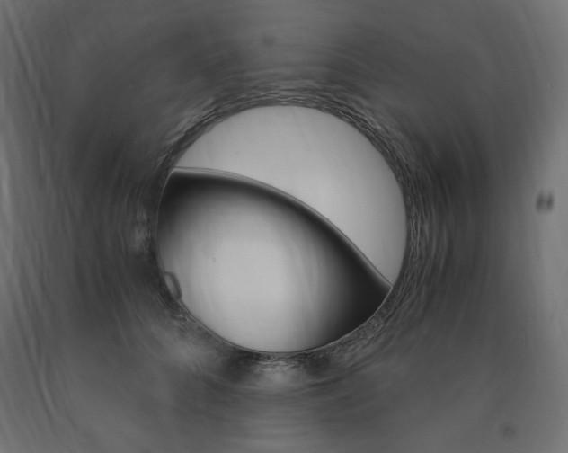 X0000091010704200708021406